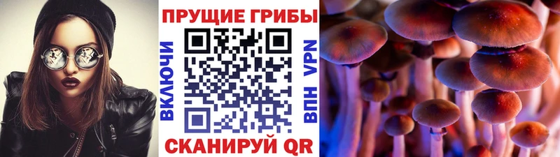 kraken как войти  Любань  Галлюциногенные грибы Magic Shrooms 